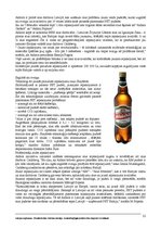 Реферат 'Latvijas uzņēmumu- bezalkoholisko dzērienu ražotāju - konkurētspējīgās priekšroc', 21.