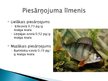 Презентация 'Noturīgās vidi piesārņojošās organiskās vielas Latvijas ūdeņu zivīs', 11.