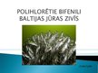 Презентация 'Noturīgās vidi piesārņojošās organiskās vielas Latvijas ūdeņu zivīs', 19.