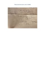 Эссе 'Mans guvums no latviešu literatūras', 1.