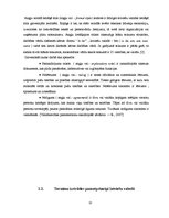 Реферат 'Leksikas un sintakses vienību tulkošanas problēmas Eiropas Savienības dokumentos', 11.