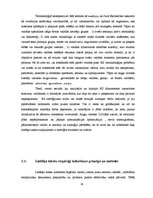 Реферат 'Leksikas un sintakses vienību tulkošanas problēmas Eiropas Savienības dokumentos', 14.