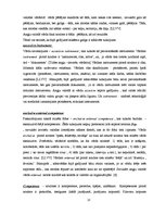 Реферат 'Leksikas un sintakses vienību tulkošanas problēmas Eiropas Savienības dokumentos', 23.