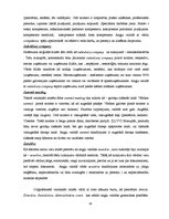 Реферат 'Leksikas un sintakses vienību tulkošanas problēmas Eiropas Savienības dokumentos', 24.