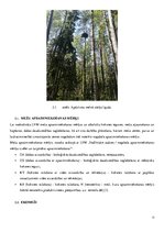 Отчёт по практике 'Vides aizsardzības prakse. AS "Latvijas valsts meži"', 13.