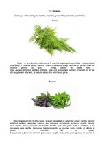 Конспект 'Dārzeņu klasifikācija. Ēdienu receptes', 11.