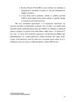 Реферат 'Autortiesību un blakustiesību aizsardzības elektroniskajā vidē problēmas', 17.