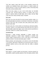 Реферат 'Darba tiesības', 13.
