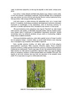 Конспект 'Dabas liegums - Posolnīca', 2.