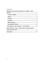 Эссе 'Analītiskais darbs vadībzinībās', 2.