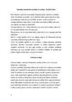 Эссе 'Analītiskais darbs vadībzinībās', 3.
