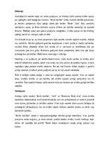 Конспект 'Andreja Upīša trīs noveļu analīze', 11.