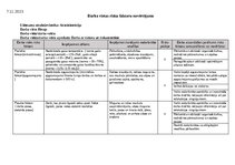 Образец документа 'Darba aizsardzība', 13.