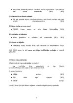 Реферат 'Mākslīgā intelekta ietekme uz darba tirgu: izaicinājumi, riski un nākotnes attīs', 12.