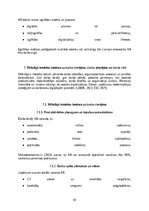 Реферат 'Mākslīgā intelekta ietekme uz darba tirgu: izaicinājumi, riski un nākotnes attīs', 31.