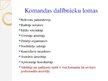 Презентация 'Komandas darbs', 10.
