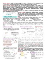 Конспект 'Kvantu fizikas teorijas konspekts', 2.