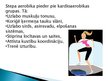 Презентация 'Viss par stepa aerobiku', 4.