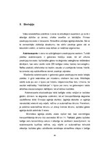 Дипломная 'Starptautisko kravu pārvadājumu aktuālās problēmas un attīstības perspektīvas', 48.