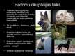 Презентация 'Mājdzīvnieku – kaķa un suņa lomas maiņa Latvijas sabiedrībā 20.gadsimtā ', 5.