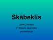 Презентация 'Skābeklis', 1.