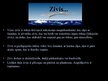 Презентация 'Zivis', 2.