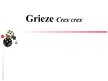 Презентация 'Grieze', 1.