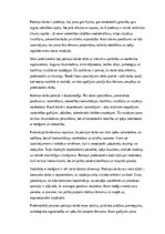 Эссе 'Policijas darbs: izaicinājumi, pieredze un profesionālā atbildība', 1.