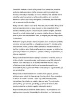 Эссе 'Policijas darbs: izaicinājumi, pieredze un profesionālā atbildība', 3.