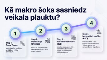Презентация 'Valūtas kursu svārstības un importēto preču cenas', 5.