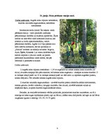 Отчёт по практике 'Koksnes mācība un meža prečzinība', 11.