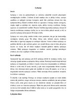 Реферат 'Epilepsija', 1.
