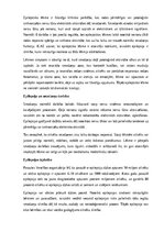 Реферат 'Epilepsija', 2.