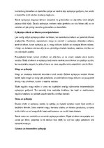 Реферат 'Epilepsija', 5.
