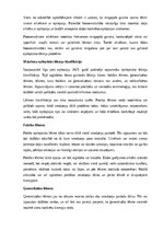 Реферат 'Epilepsija', 6.