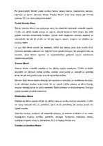 Реферат 'Epilepsija', 7.