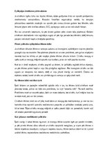 Реферат 'Epilepsija', 13.