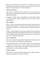 Реферат 'Epilepsija', 15.