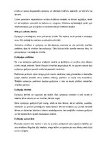 Реферат 'Epilepsija', 19.