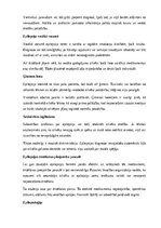 Реферат 'Epilepsija', 20.