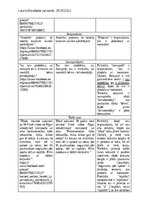 Конспект 'Petījums "Komentāru valodas aspekts "Facebook" grupā “Atsaucīgo māmiņu forums”"', 4.