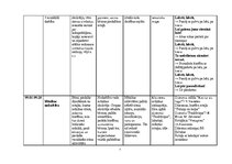 Конспект 'Dienas izvērsts plānojums', 7.