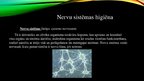 Презентация 'Ādas higiēna. Nervu sistēmas un maņu orgānu higiēna', 9.
