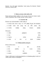 Реферат 'Klimata pārmaiņu un vides piesārņojuma ietekme uz Latvijas iedzīvotājiem', 23.