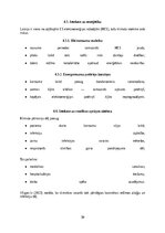 Реферат 'Klimata pārmaiņu un vides piesārņojuma ietekme uz Latvijas iedzīvotājiem', 31.