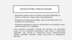 Презентация 'Baltijas jūras piesārņotība un tās problēmas', 7.