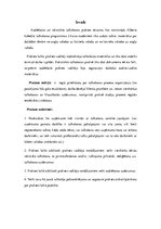 Отчёт по практике 'Prakses atskaite - audiēšana un rakstiskā tulkošana', 4.