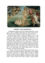 Эссе 'Botičelli glezna "Venēras piedzimšana"', 1.