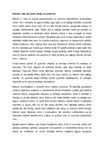 Конспект 'Kokains: vielas ietekme uz indivīdu un sabiedrību', 1.