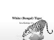 Презентация 'White Bengal Tiger', 1.